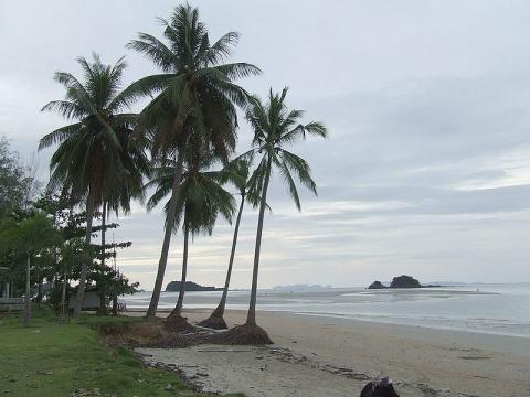playa-tailandia.jpg